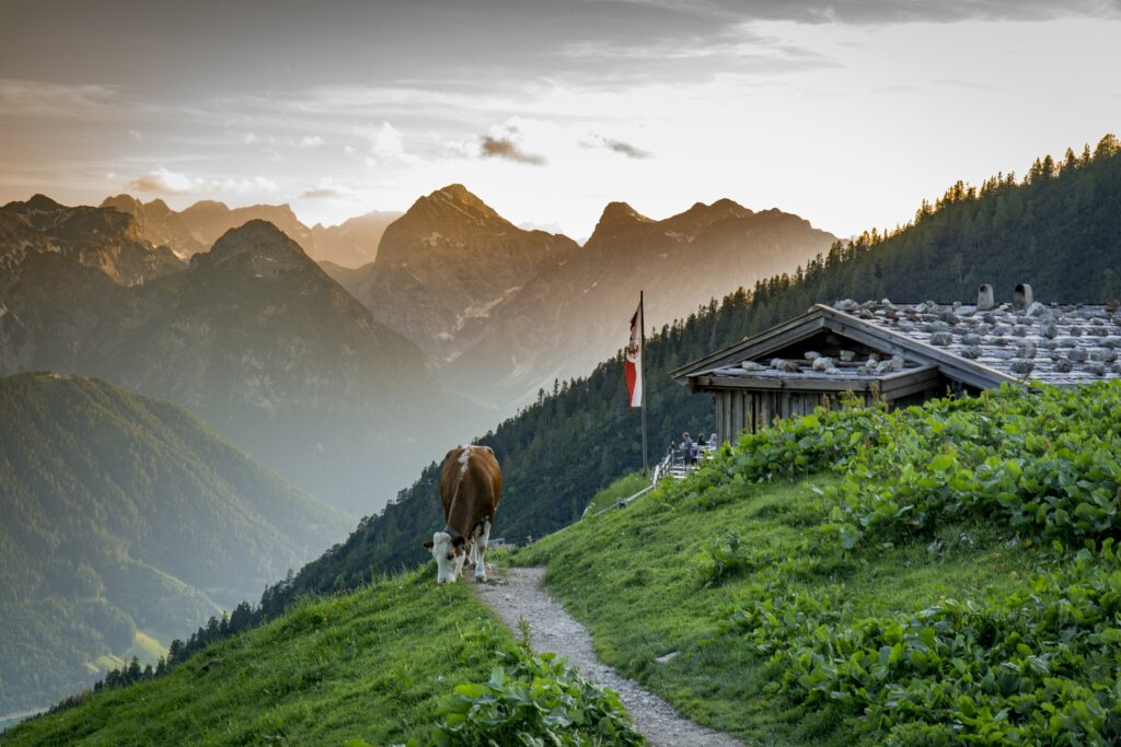 Paragleiten Rofan Seilbahn Ag